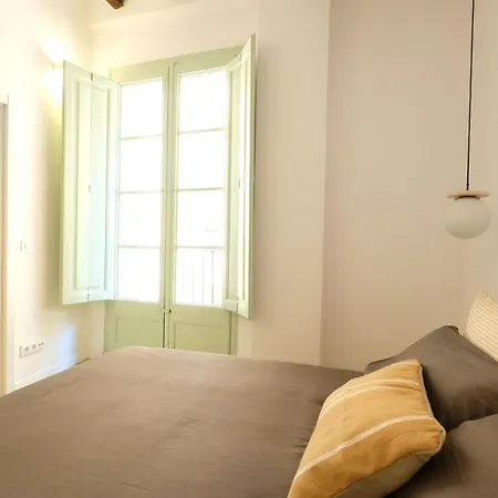 Cavallers 1, Recien Reformado, En Pleno Centro Historico Apartmán